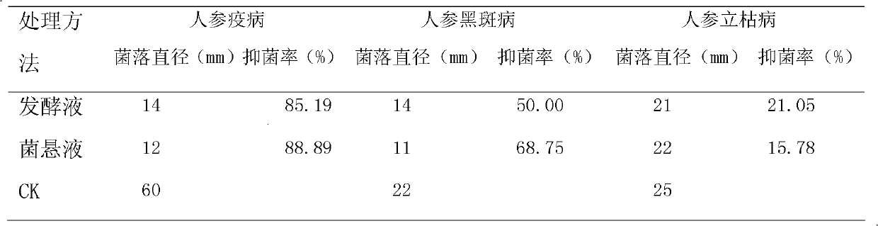 Preparation method of biological agent for preventing and treating ginseng diseases