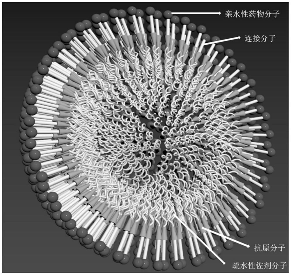 Biwheel-shaped nanoparticles and preparation method thereof