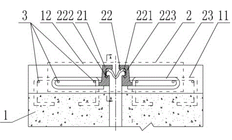 Leak-proof bridge expansion joint and use method thereof