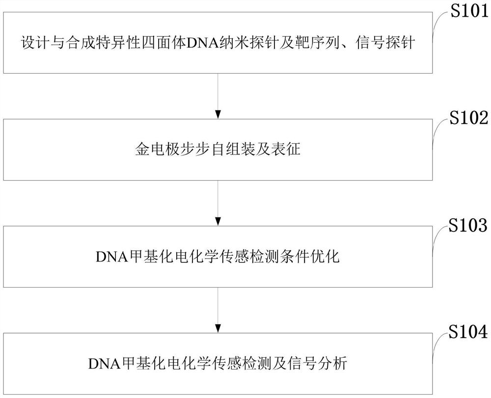 Electrochemical analysis method based on tetrahedral DNA nanoprobe and application