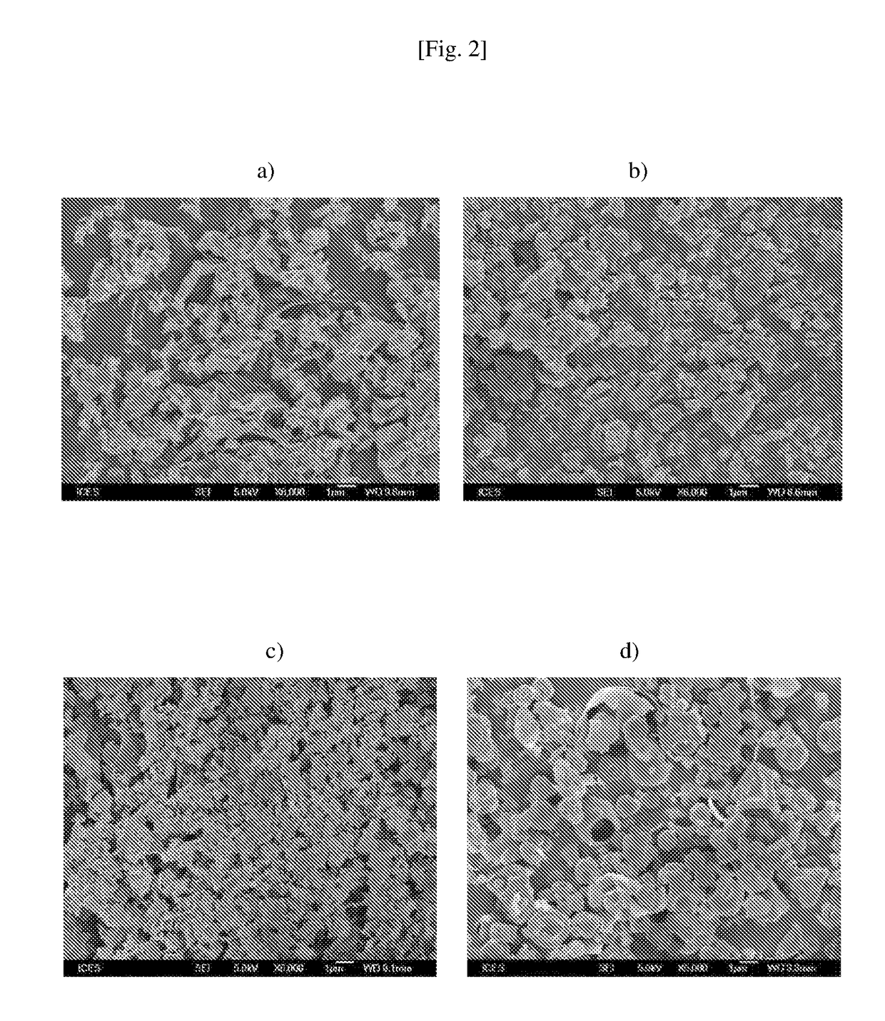 Antibiotic compositions for treating bacterial infections