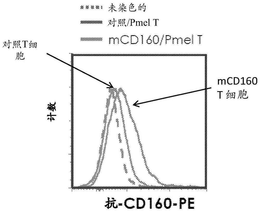 Methods of modulting cd160 function in the antigen-specific immune cell and uses thereof