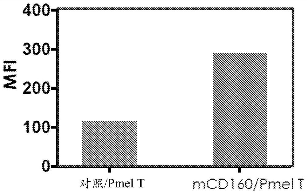 Methods of modulting cd160 function in the antigen-specific immune cell and uses thereof