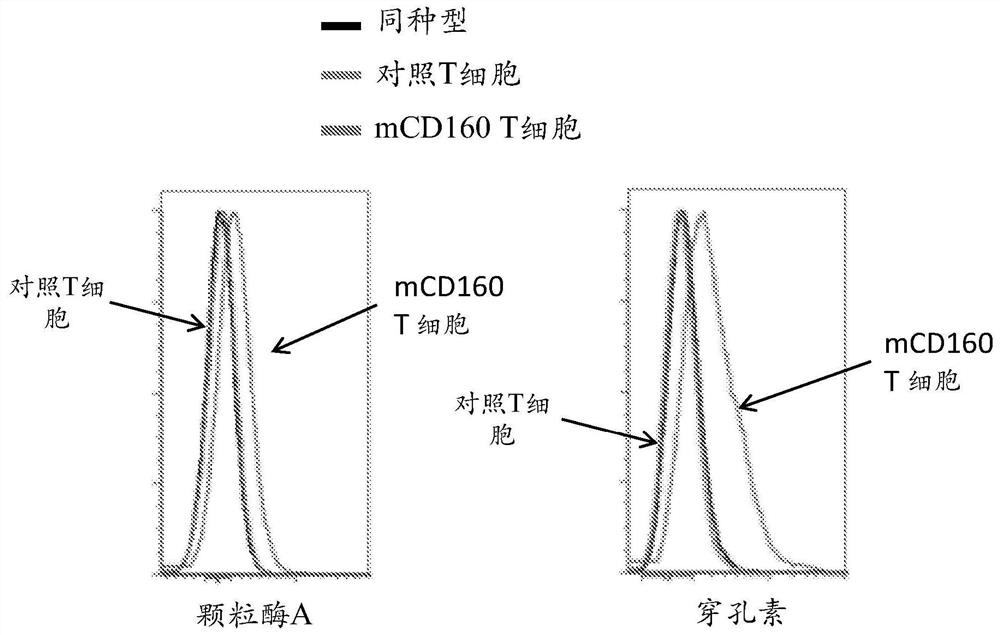 Methods of modulting cd160 function in the antigen-specific immune cell and uses thereof