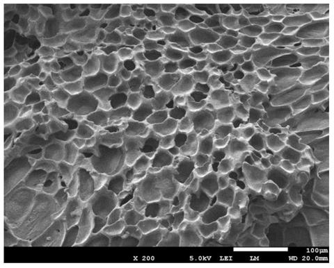 A kind of nitrile rubber microporous foam material and preparation method thereof
