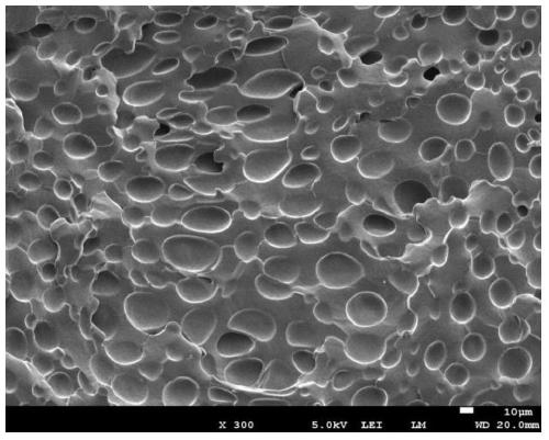 A kind of nitrile rubber microporous foam material and preparation method thereof
