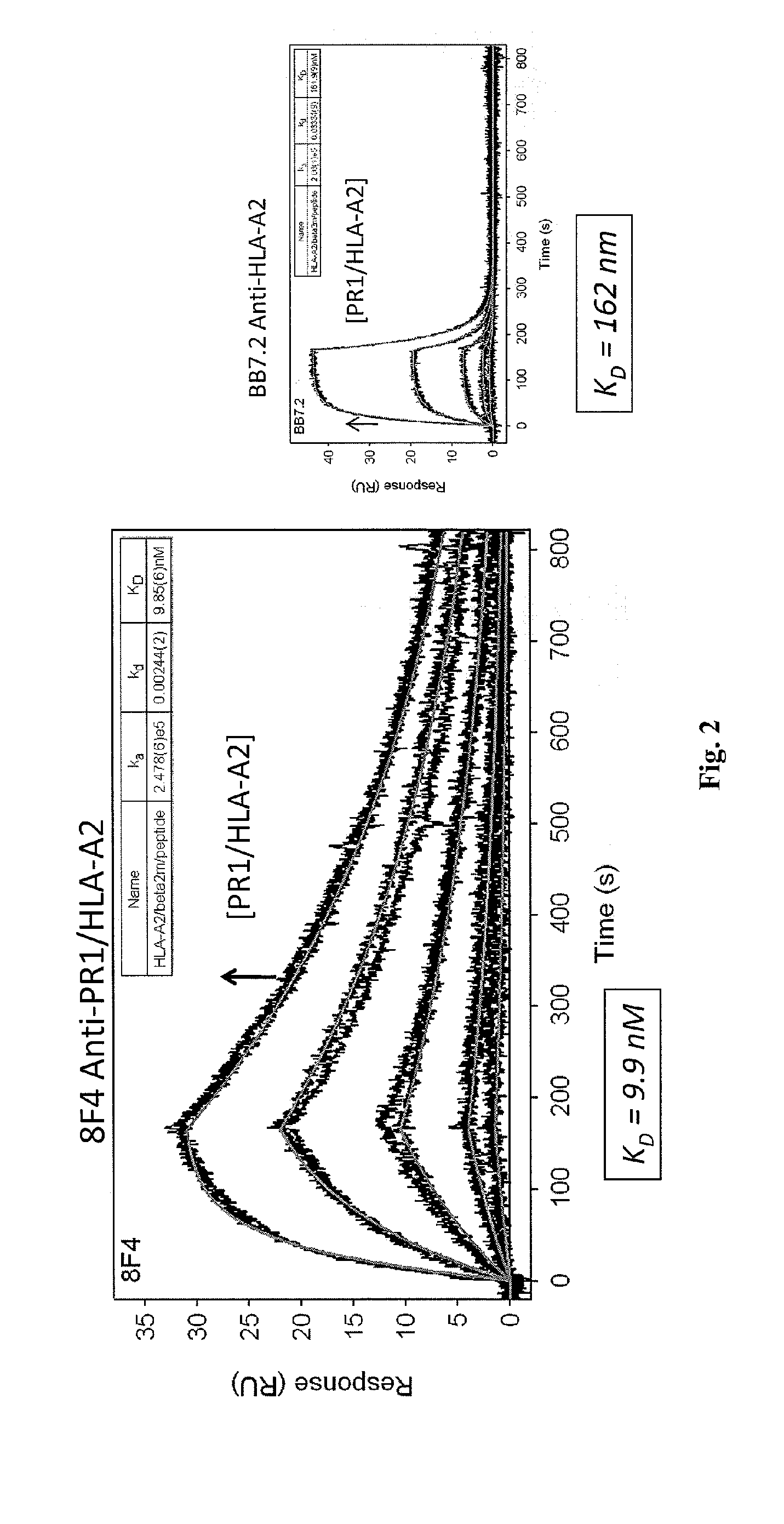 Monoclonal Antibodies For Use In Diagnosis and Therapy of Cancers and Autoimmune Disease