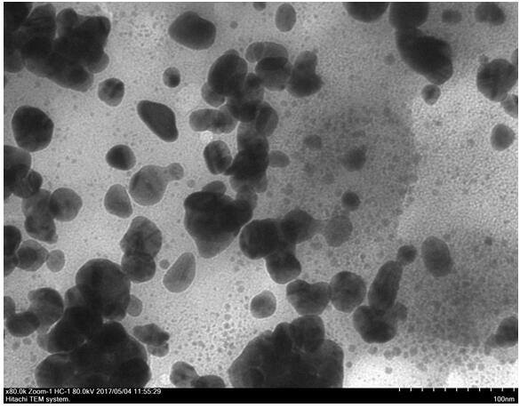 A kind of silver nano material and its biological preparation method and application