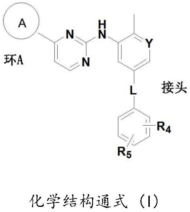 Compounds for treatment of neurodegenerative diseases and cancer