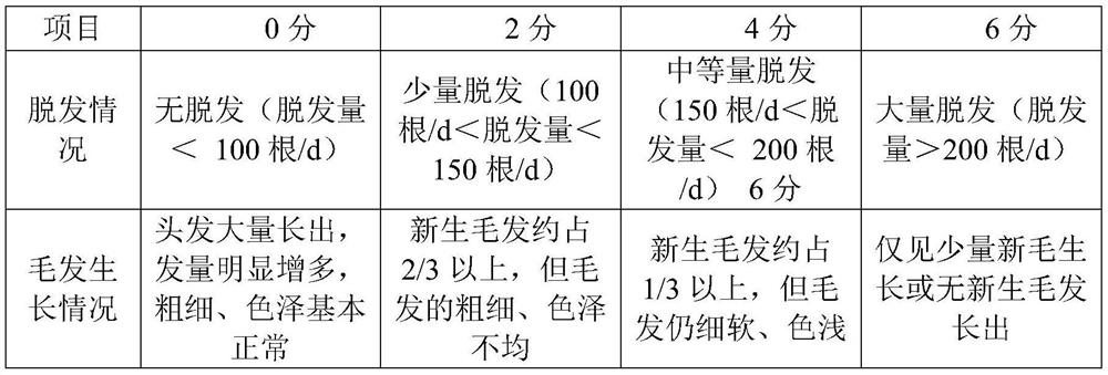 Traditional Chinese medicine composition and traditional Chinese medicine preparation for treating seborrheic alopecia and preparation method thereof