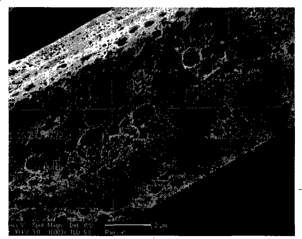 Preparation method of macropore activated carbon fiber with intensity more than 0.3GPa