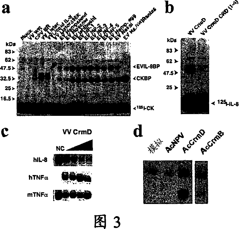 Chemokine binding activity of viral TNF receptors and related proteins