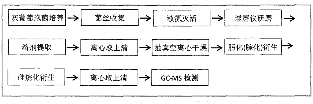 Sample pretreatment and detection method for gc-ms study of Botrytis cinerea metabolome