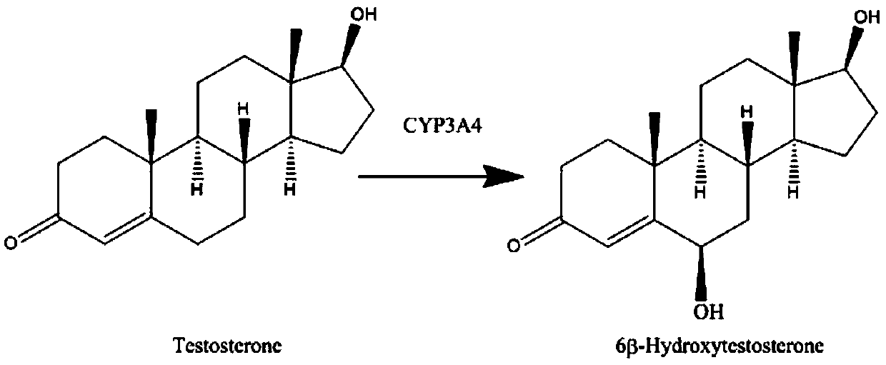 Method for detecting in-vivo CYP1A2 and CYP3A4 enzyme activity in earthworm through high-performance liquid chromatography-tandem mass spectrometry