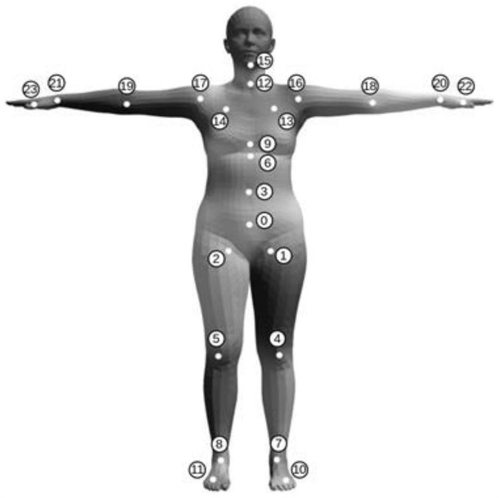 Human body three-dimensional model establishing method and device, electronic equipment and storage medium