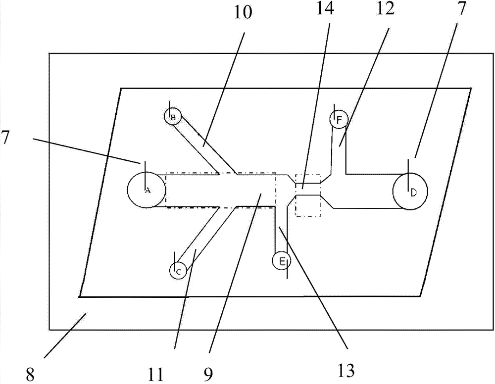 Device and method for classifying microalgae in ship ballast water