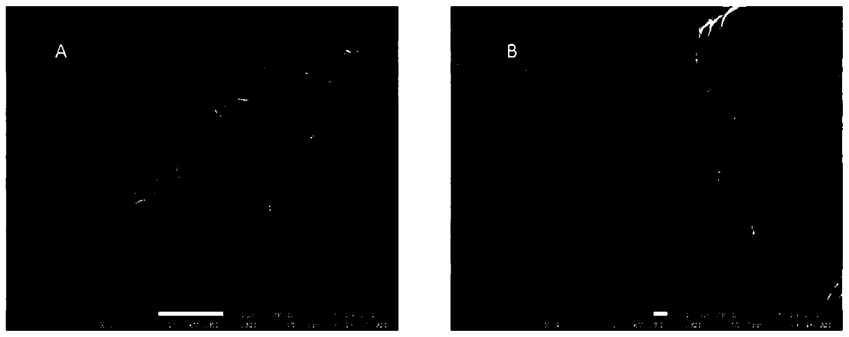 Preparation method of cos nanoparticle/n-doped rgo hydrogen evolution composite material