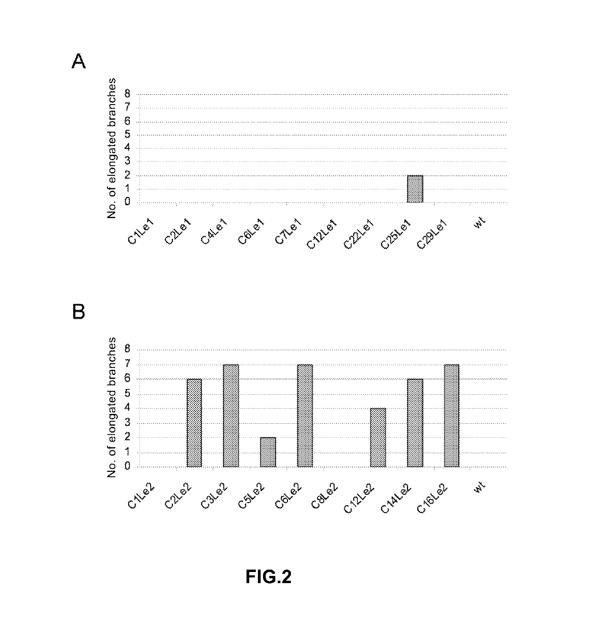 Genes regulating plant branching, promotors, genetic constructs containing same and uses thereof