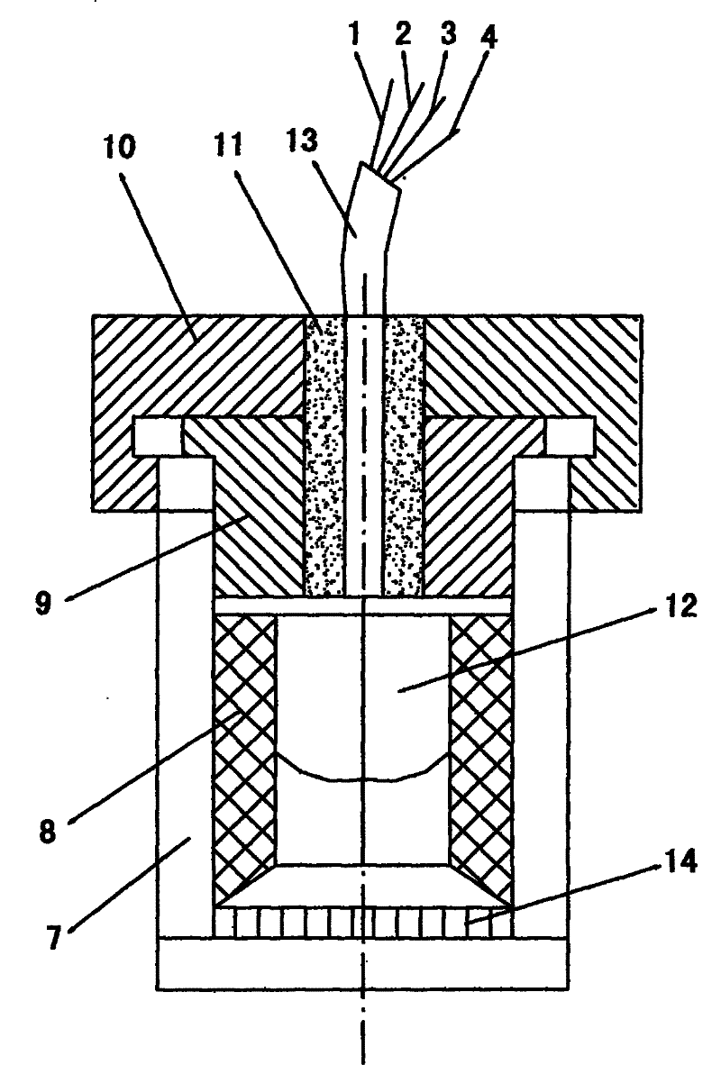 Light-source device for image-identifying system