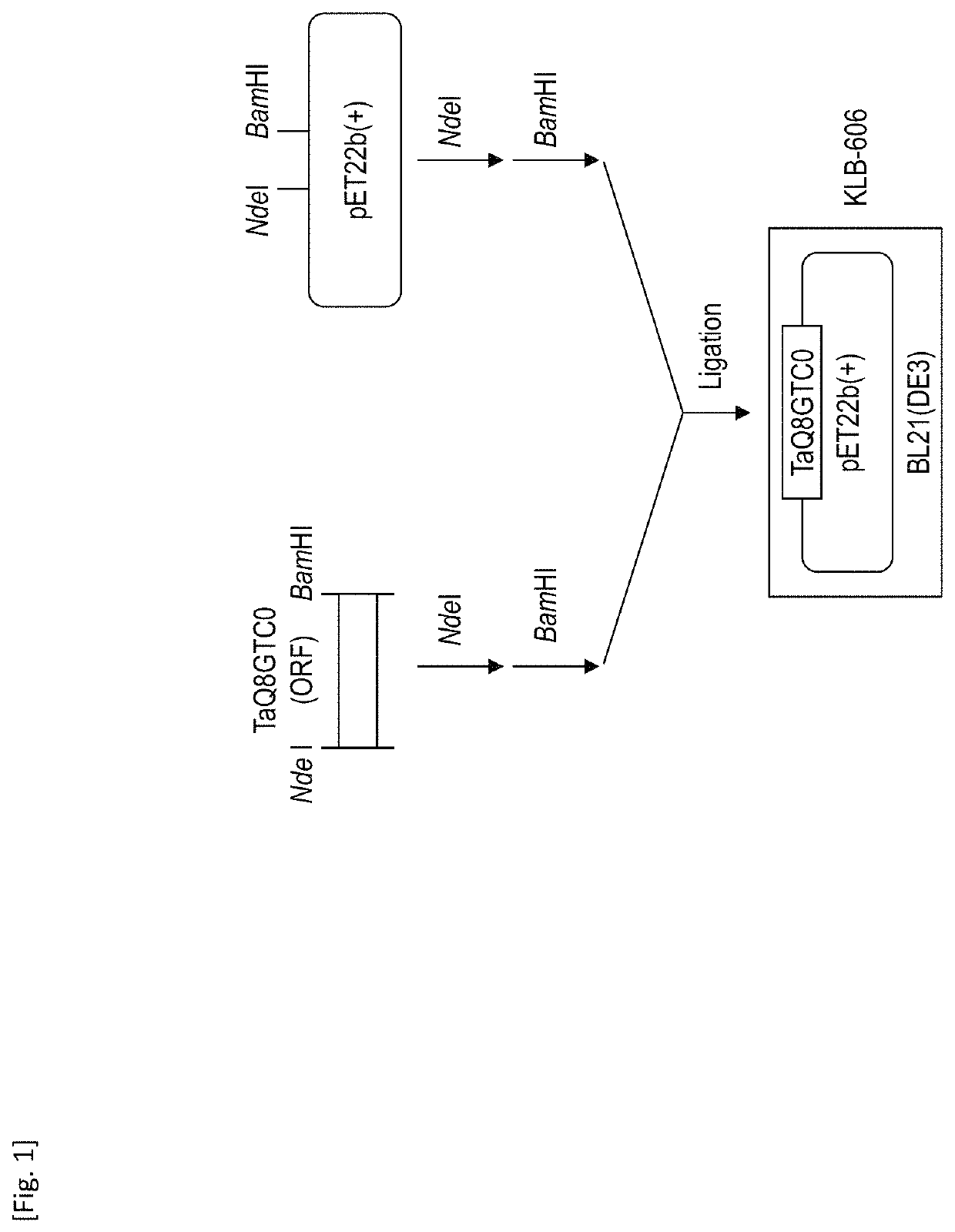 Transgenic plant having herbicide resistance