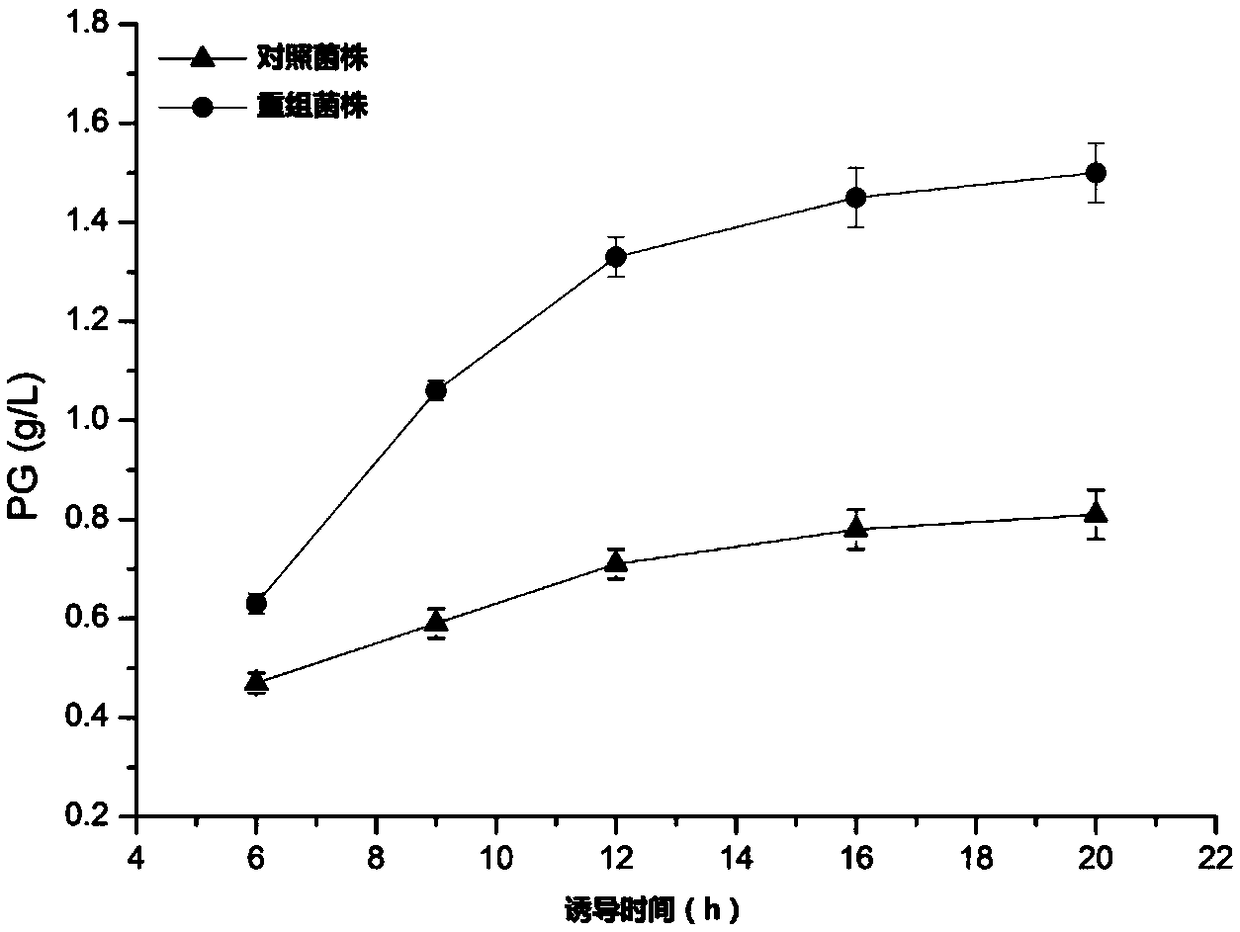 Genetically engineered bacterium for improving yield of phloroglucinol as well as construction method and application of genetically engineered bacterium