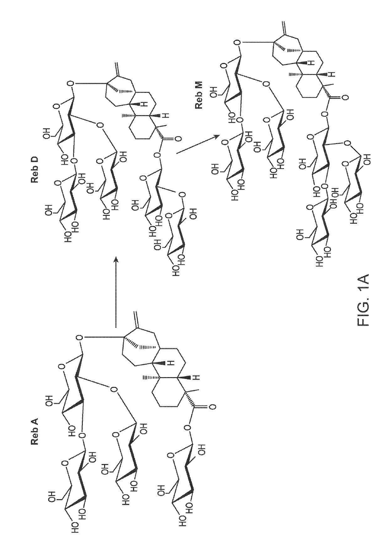 Udp-dependent glycosyltransferase for high efficiency production of rebaudiosides