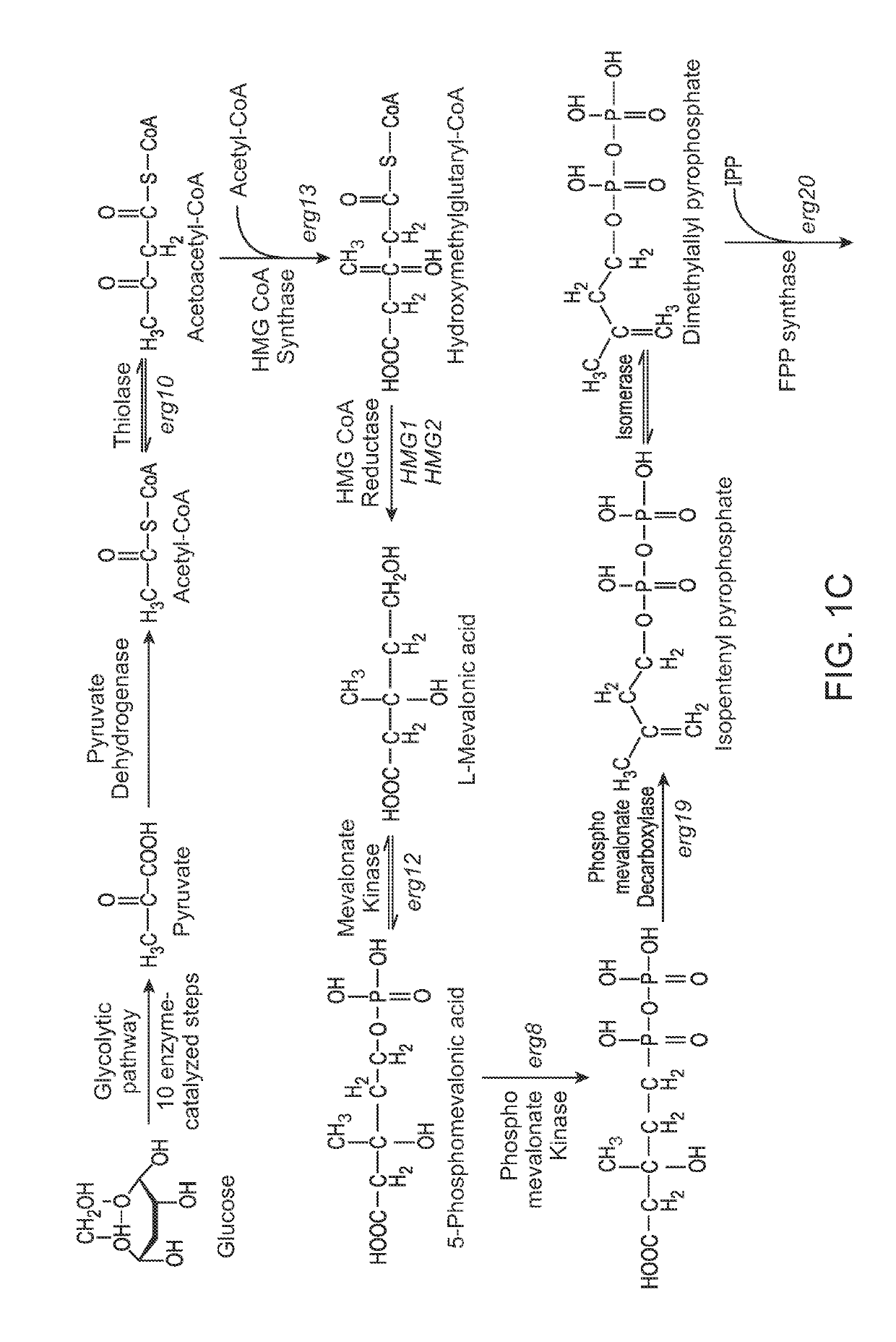 Udp-dependent glycosyltransferase for high efficiency production of rebaudiosides