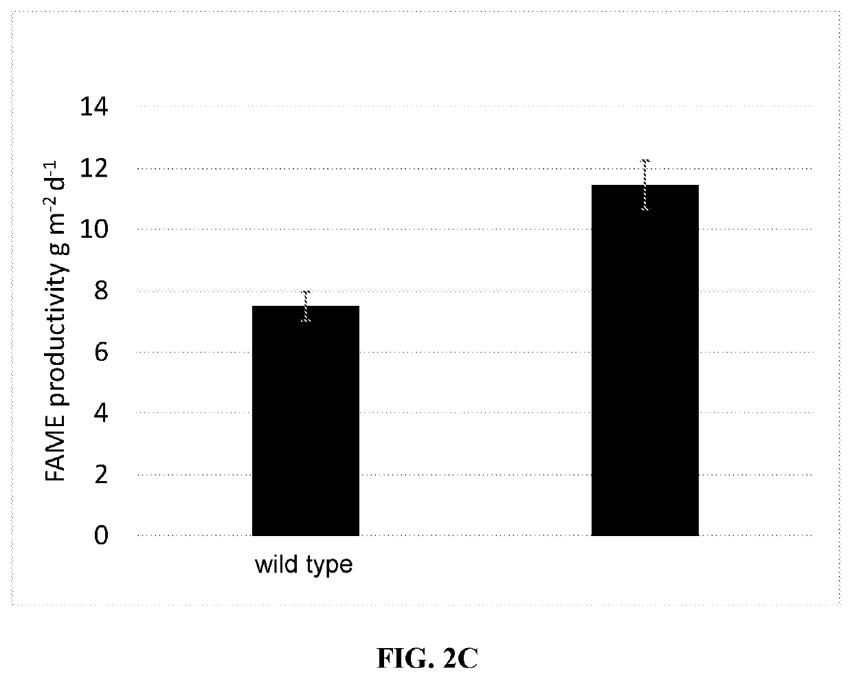 Recombinant algae having high lipid productivity