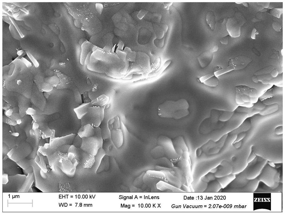 A kind of low temperature preparation method of strontium and cesium glass ceramic co-solidified body