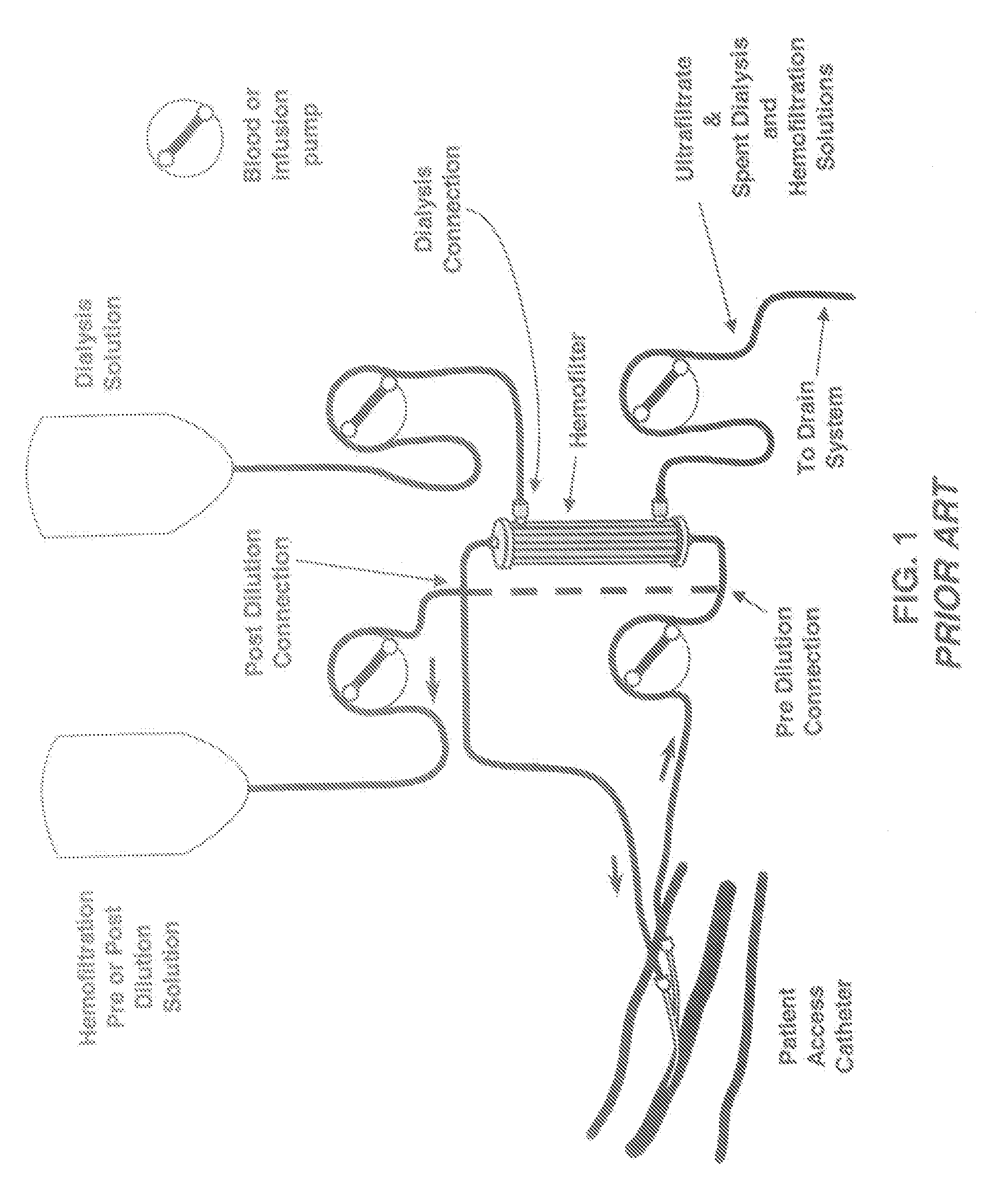 System and method for delivery of regional citrate anticoagulation to extracorporeal blood circuits