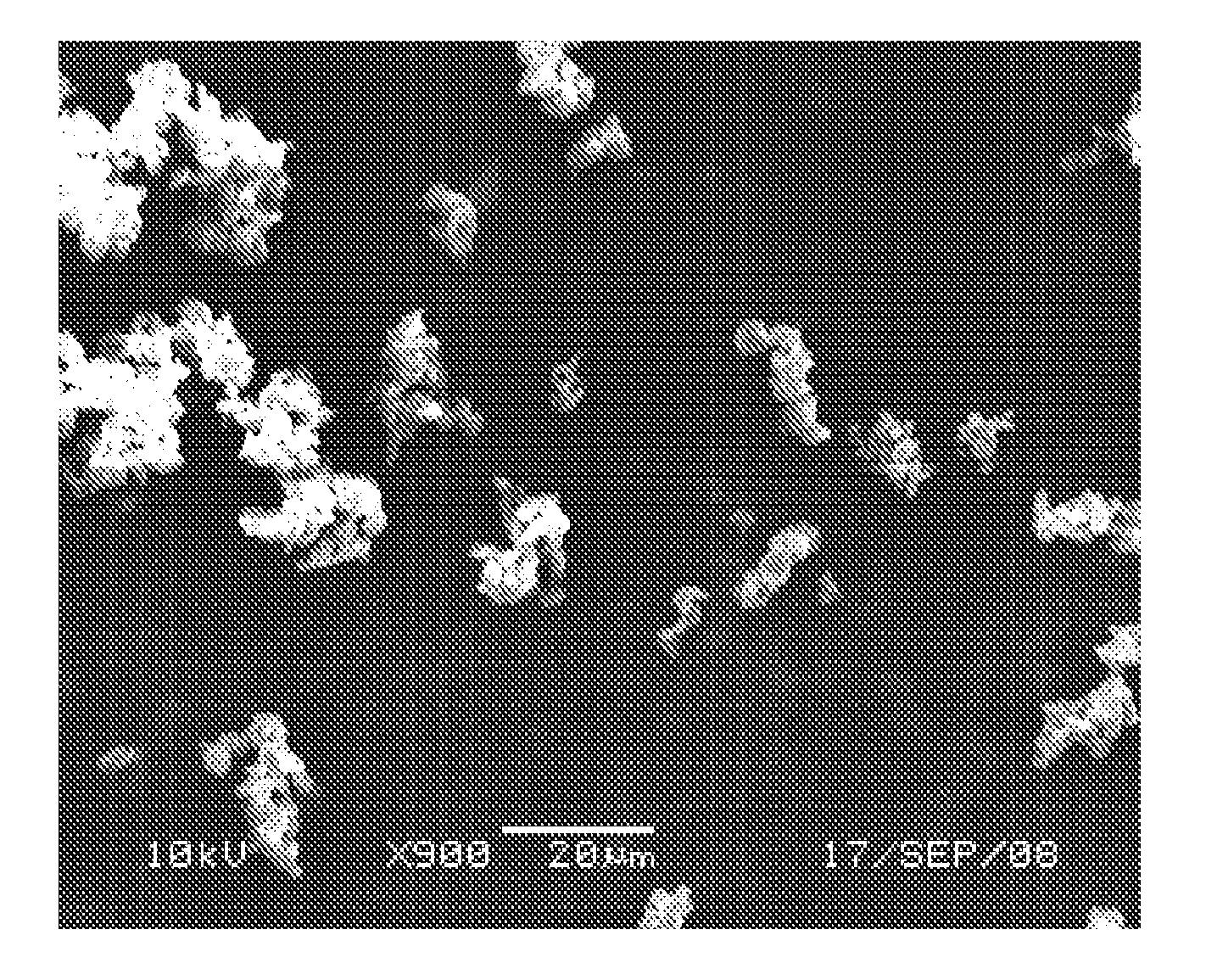 Dry Powder Formulations, Vaccines and Methods