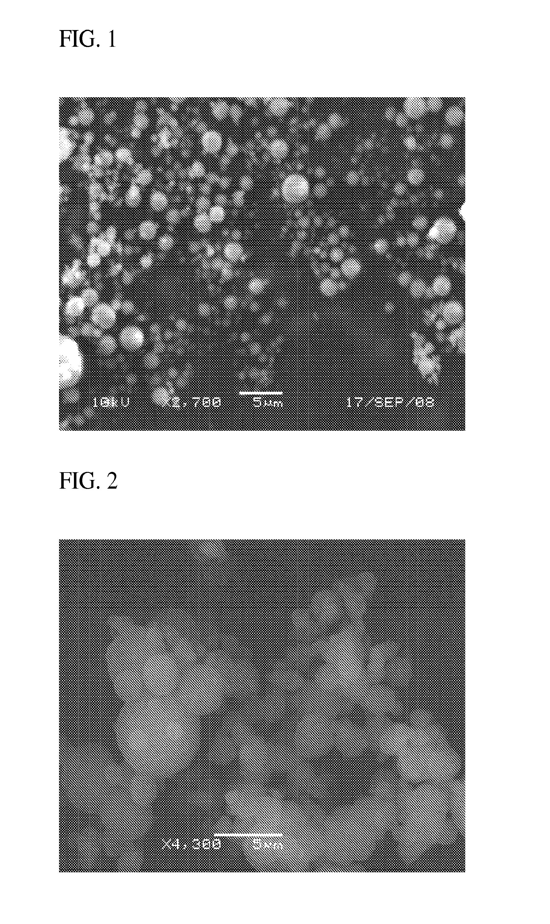 Dry Powder Formulations, Vaccines and Methods