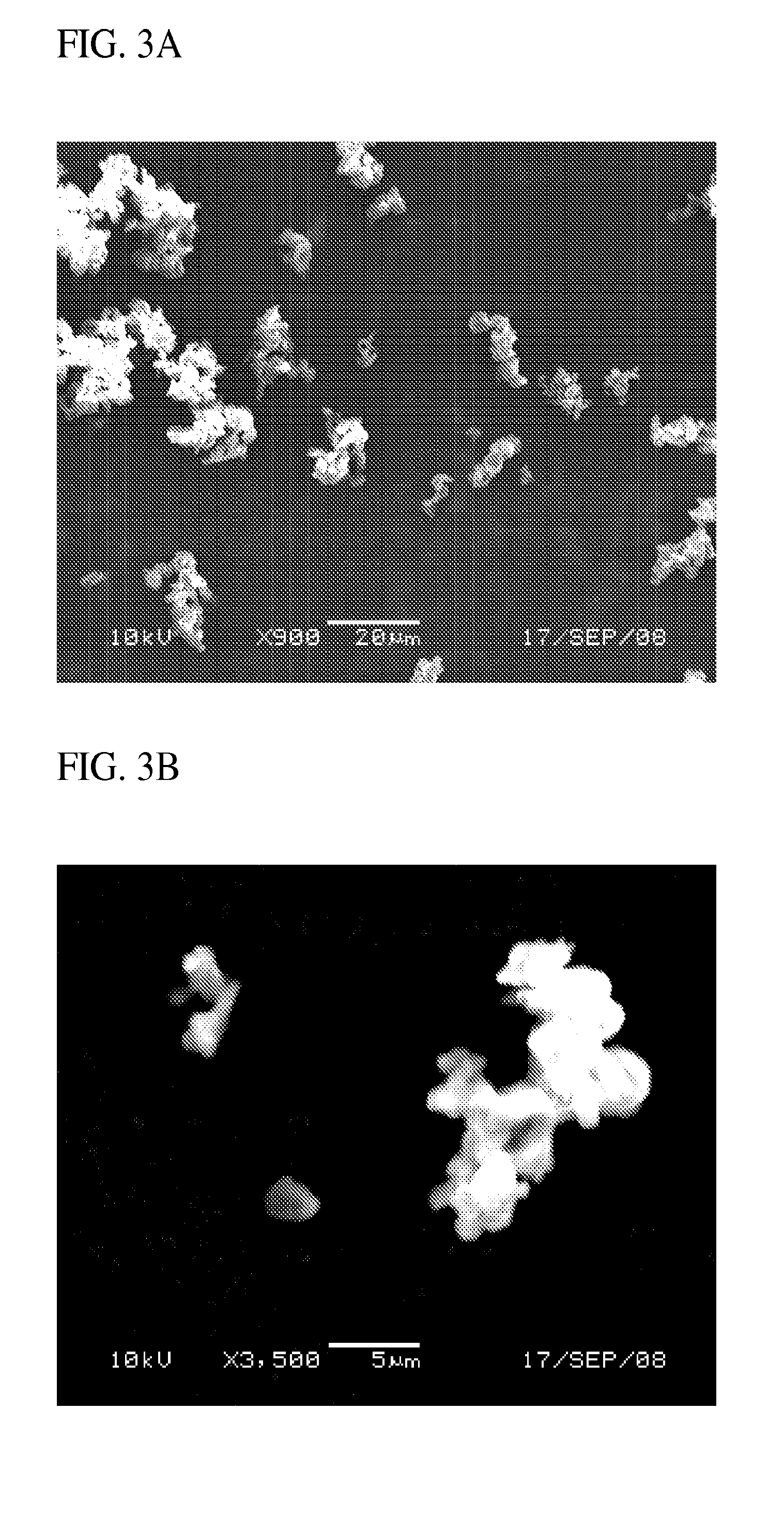 Dry Powder Formulations, Vaccines and Methods