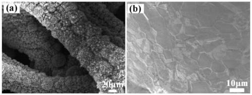 Bifunctional water electrolysis catalyst and preparation method and application thereof