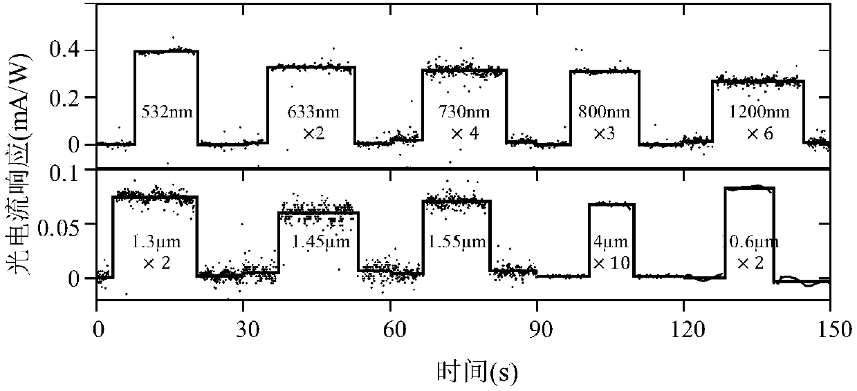 Optical detector based on second-class Weyl semimetal molybdenum ditelluride and detection method of optical detector