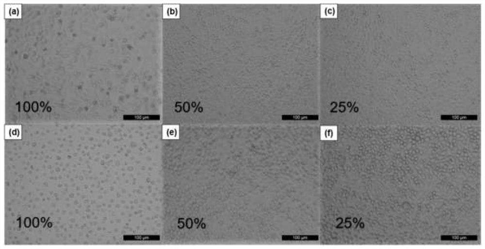 An implantable zinc-based alloy surface structure and its preparation method and application