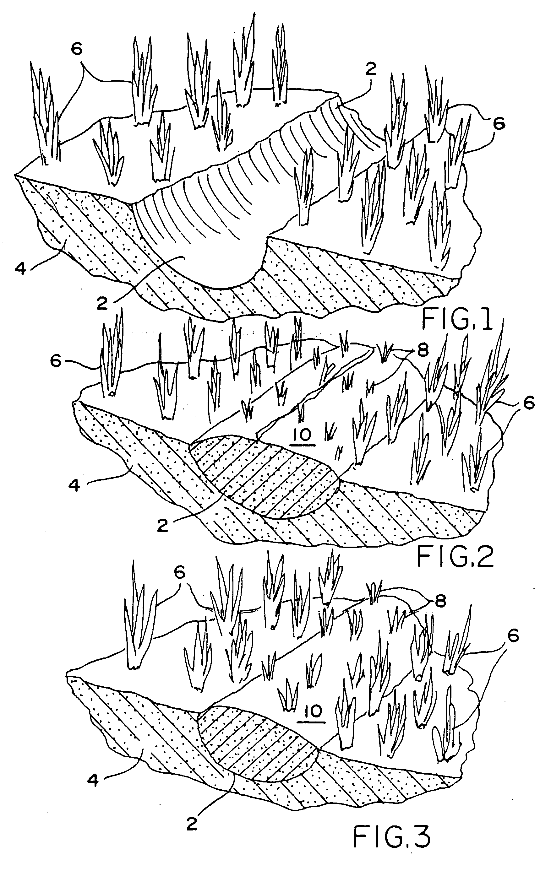 Process and related apparatus for repairing aquatic propeller scars