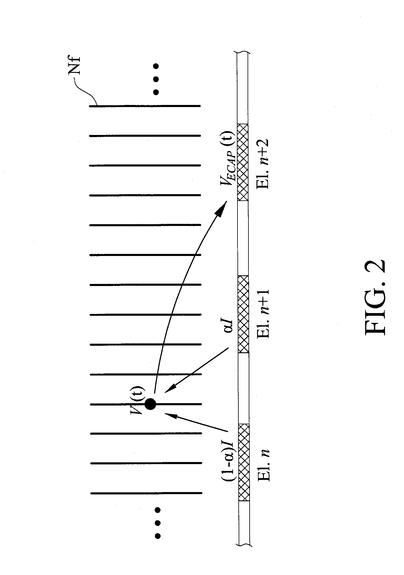 Method for analyzing nerve fiber distribution and measuring normalized evoked compound action electric potential