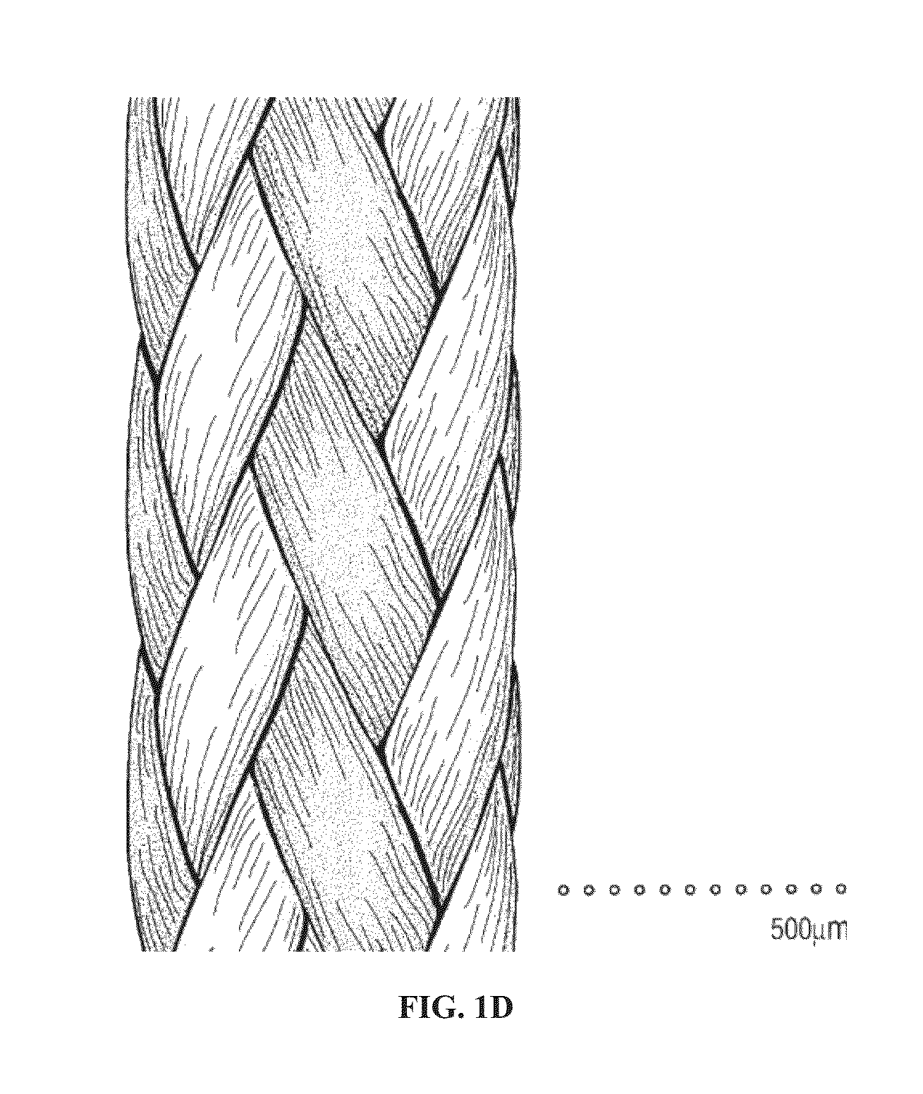 Mechanically Strong absorbable Polymeric Blend Compositions of Precisely Controllable Absorption Rates, Processing Methods, and Products Therefrom