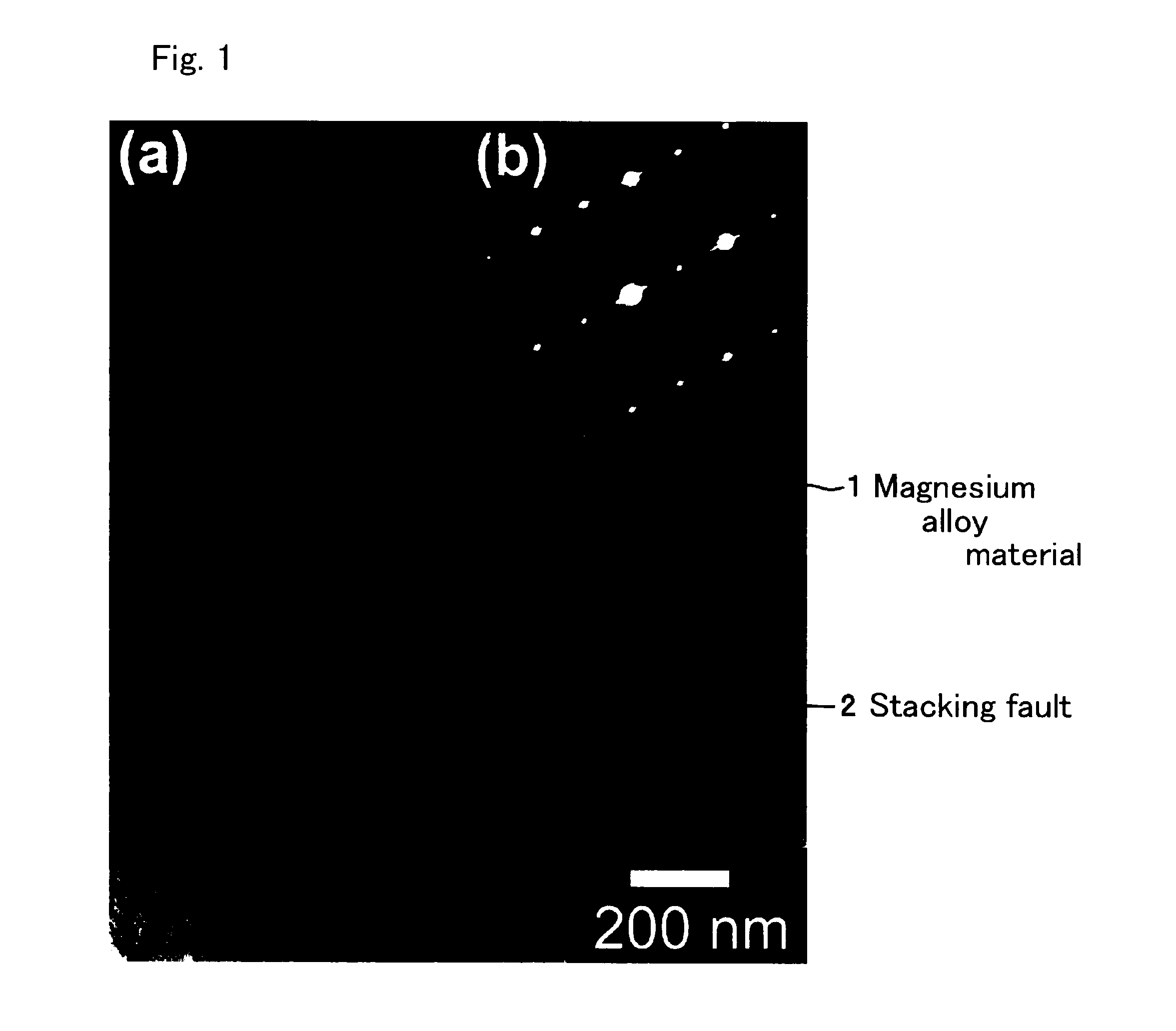 Magnesium alloy material and method for manufacturing the same