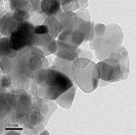 Method for preparing tungsten oxide filled phthalic acid nano tube