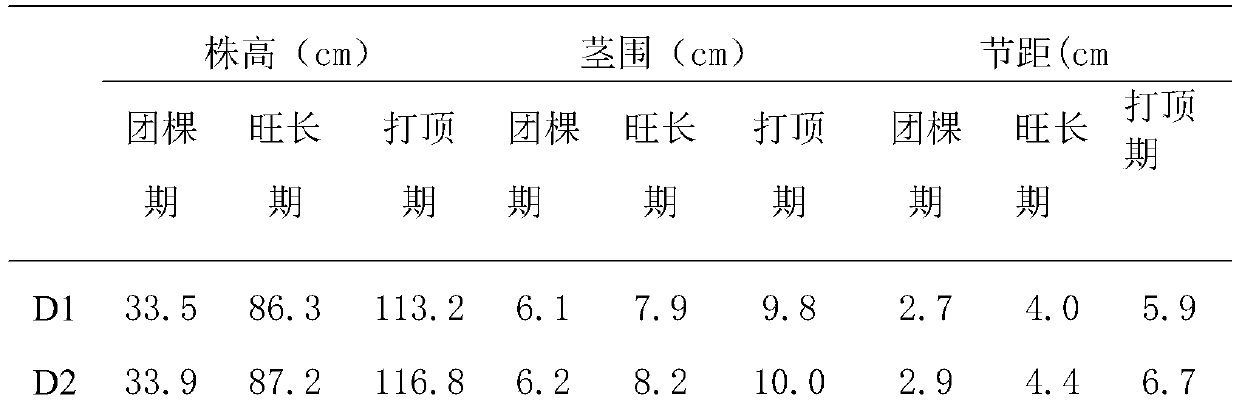 Microbial agent for inhibiting tobacco continuous cropping obstacles