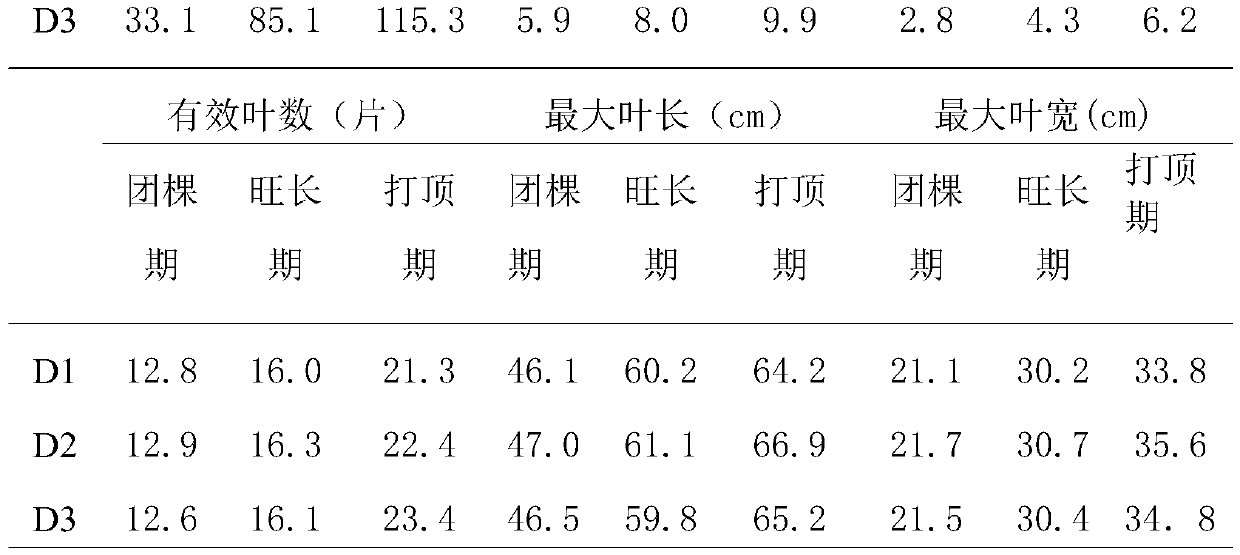 Microbial agent for inhibiting tobacco continuous cropping obstacles