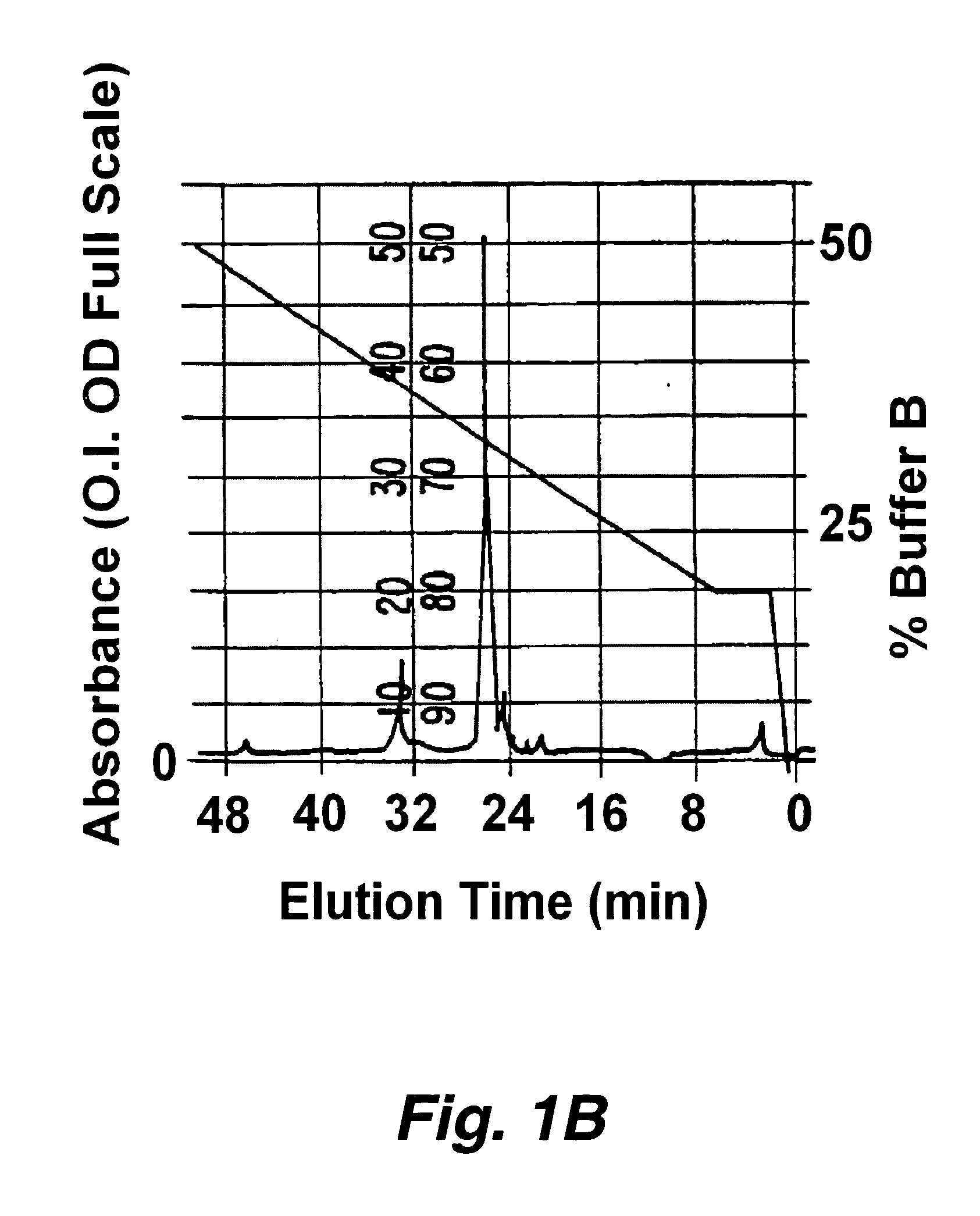 Homo-doubly labeled compositions for the detection of enzyme activity in biological samples