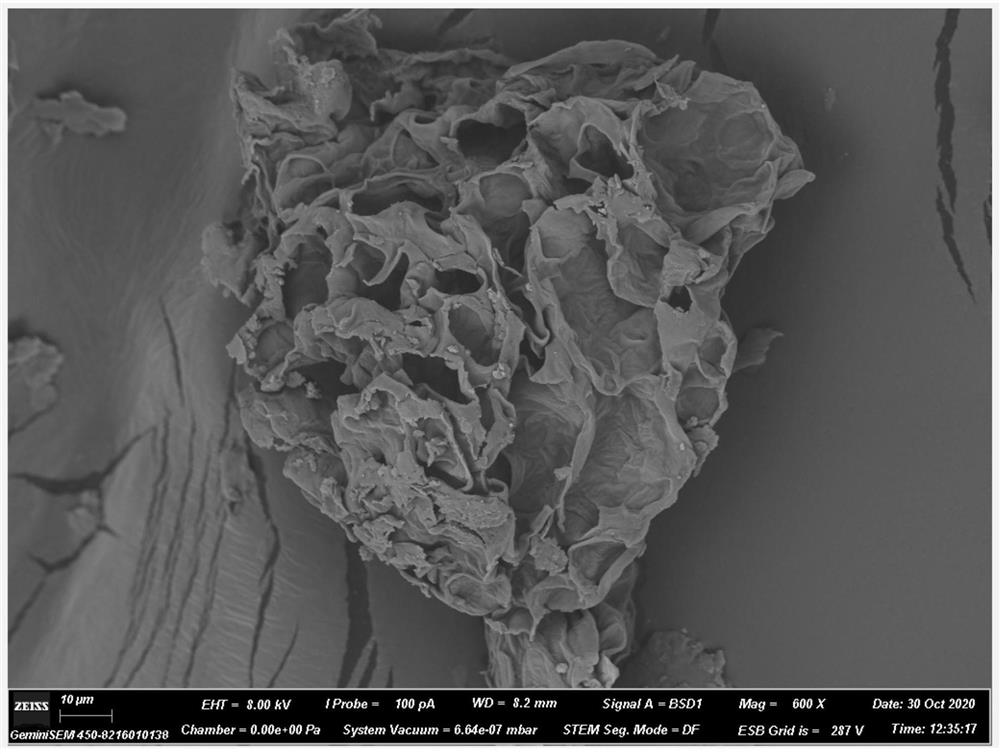 Biochemical composite material as well as preparation method and application thereof