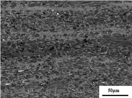 A kind of preparation method of high-strength, toughness and high-stability tial-ni alloy plate