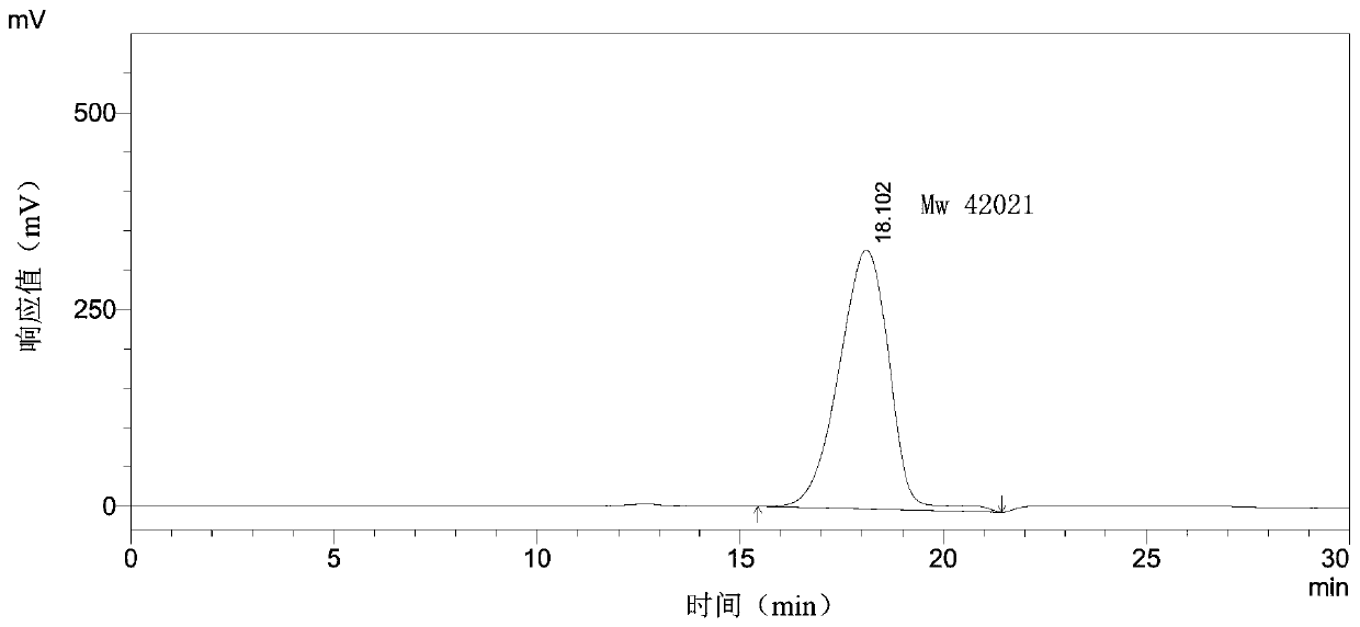 Callicarpa kwangtungensis polysaccharide as well as extraction method and application thereof