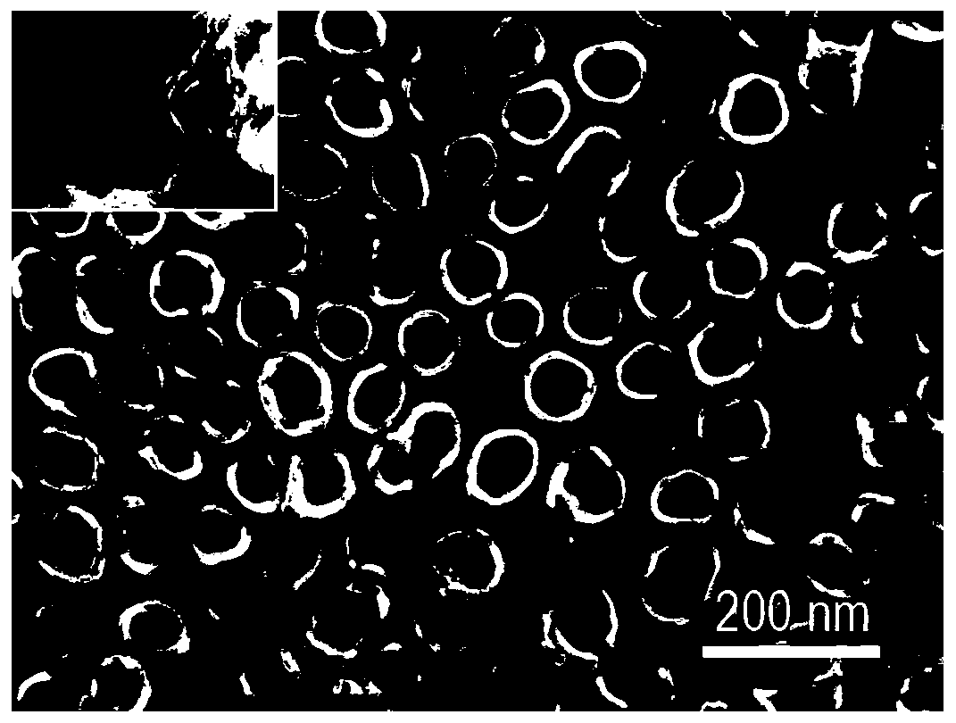 Method for preparing polyaniline-titanium dioxide nanotube array composite electrode in one step