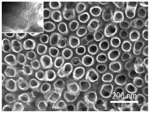 Method for preparing polyaniline-titanium dioxide nanotube array composite electrode in one step