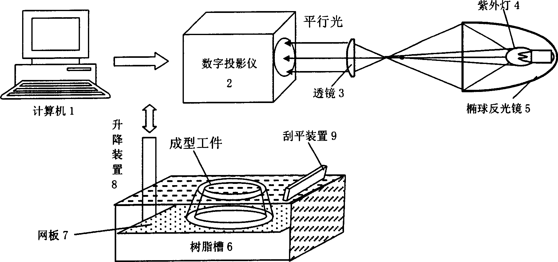 Digital projection photocurable rapid shaping apparatus and method